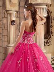 Sleeveless Embroidery Hot Pink Winter Quinceanera Gown