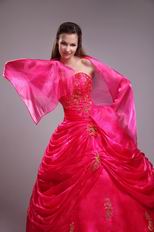 Strapless Lace Up Back Fuchsia Quinceanera Dress For Girl