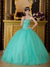 Princess Turquoise Organza Quinceanera Dress With Embroidery