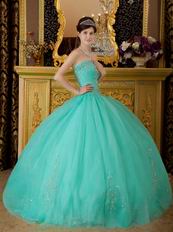 Princess Turquoise Organza Quinceanera Dress With Embroidery