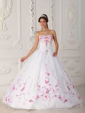 Elegant Quinceanera Dress With Bowknot Emberllish