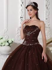 Chocolate Tulle Adult Ceremony Party Dress With Rhinestone