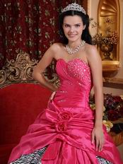 Sweetheart Fuchsia Quinceanera Dress Printed Zebra Fabric