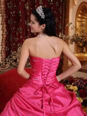 Sweetheart Fuchsia Quinceanera Dress Printed Zebra Fabric