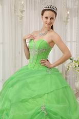 Pretty Quinceanera Gown Made By Spring Green Organza