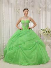 Pretty Quinceanera Gown Made By Spring Green Organza