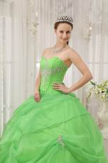 Pretty Quinceanera Gown Made By Spring Green Organza