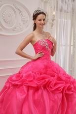 Rolled Flowers Decorate Top Designer Quinceanera Hot Pink Dress