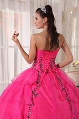 Deep Pink Organza Paillette Puffy Skirt Quinceanera Girls Dress