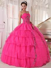 Deep Pink Organza Paillette Puffy Skirt Quinceanera Girls Dress