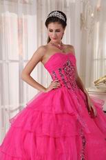 Deep Pink Organza Paillette Puffy Skirt Quinceanera Girls Dress