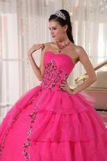 Deep Pink Organza Paillette Puffy Skirt Quinceanera Girls Dress
