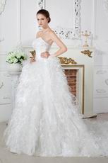 Luxurious Sweetheart Dropped Waist Cathedral Feather Wedding Dress