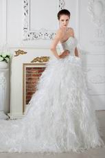 Luxurious Sweetheart Dropped Waist Cathedral Feather Wedding Dress