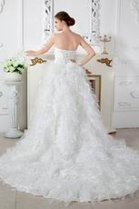 Luxurious Sweetheart Dropped Waist Cathedral Feather Wedding Dress
