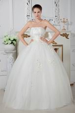 Discount Strapless Appliques Ball Gown Ivory Net Bridal Gowns