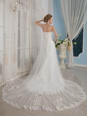 Wonderful Strapless Cathedral Train Wedding Dress With Appliques