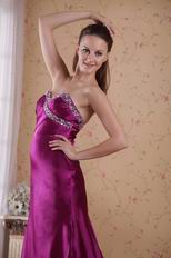 Purple Sweetheart Elegant Evening Dress 2014 Wear