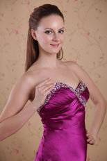 Purple Sweetheart Elegant Evening Dress 2014 Wear