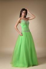 Fresh Spring Green Tulle Evening Dress Discount