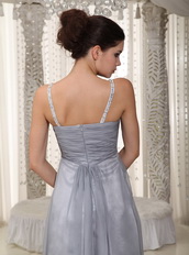 Straps V Long Silver Chiffon Top Designer List Dress For Prom Night Club