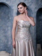 Dark Champagne Strapless Silk Like Satin Evening Dress Low Price Night Club