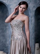 Dark Champagne Strapless Silk Like Satin Evening Dress Low Price Night Club