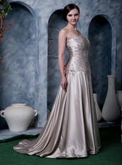 Dark Champagne Strapless Silk Like Satin Evening Dress Low Price Night Club