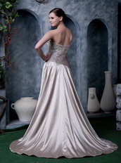 Dark Champagne Strapless Silk Like Satin Evening Dress Low Price Night Club