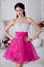 Hot Pink Beaded Short Skirt Designer Cocktail Dress