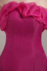 Mermaid Strapless Floor-length Fuchsia Organza Prom Dress Petite