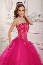 Bordure Strapless Winter Quinceanera Party Thick Dress In Fuchsia