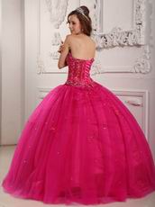 Bordure Strapless Winter Quinceanera Party Thick Dress In Fuchsia