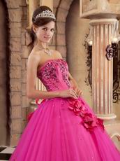 Trimed A-line Skirt Fuchsia Quinceanera Dress For 2014 Wear