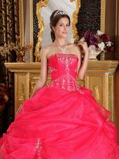 Strapless Ball Gown Embroidery Deep Pink Quinceanera Gown