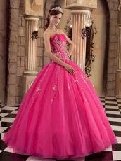 Sleeveless Embroidery Hot Pink Winter Quinceanera Gown