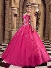 Sleeveless Embroidery Hot Pink Winter Quinceanera Gown