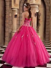 Sleeveless Embroidery Hot Pink Winter Quinceanera Gown