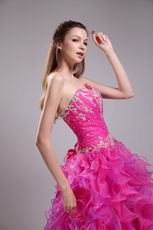 Fuchsia Floor Length Ruffle Skirt Top Designer Quinceanera Dress