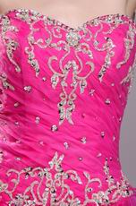Fuchsia Floor Length Ruffle Skirt Top Designer Quinceanera Dress