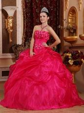 Sleeveless Fuchsia Organza Winter Warm Quinceanera Dress