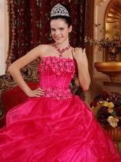 Sleeveless Fuchsia Organza Winter Warm Quinceanera Dress