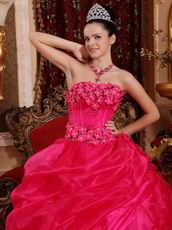 Sleeveless Fuchsia Organza Winter Warm Quinceanera Dress