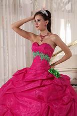 Spring Green Flower Decorate Deep Pink Quinceanera Girls Dress