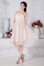 Sweetheart Champagne Graduation Short Dress With Applique