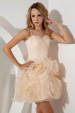 Spaghetti Straps Champagne Organza Graduation Dress