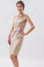 Champagne Mini Graduation Dress With Pink Flower