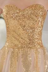 Unique Tulle Fabric Sequined Champagne Evening Dress