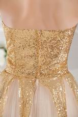 Unique Tulle Fabric Sequined Champagne Evening Dress