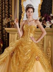Pretty Golden Sequin Corset Back Adult Ceremony Girls Dress